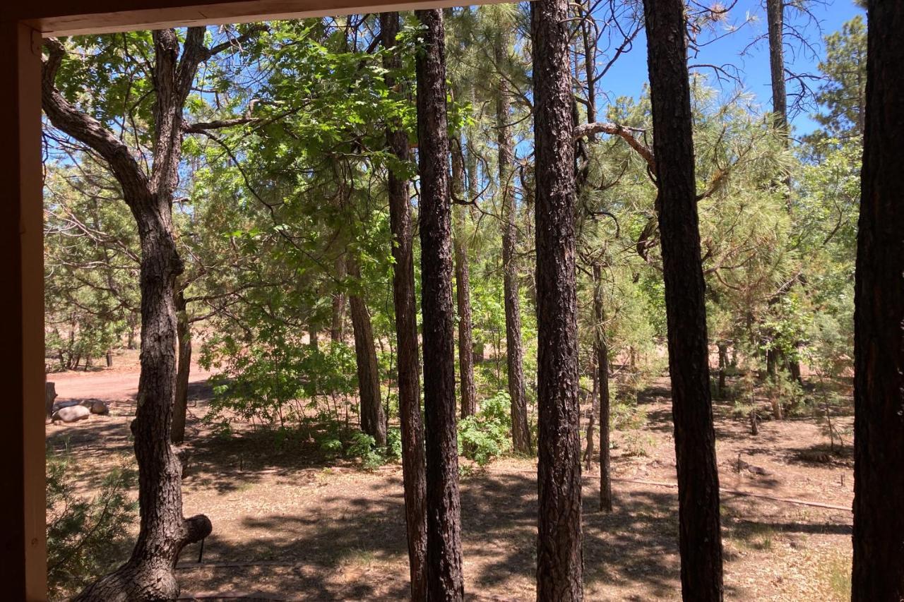 הוילה פיינטופ-לייקסייד Tranquil Pines Retreat מראה חיצוני תמונה